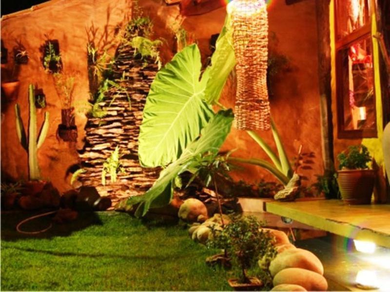 Bambu Brasil Sao Jorge (Goias)