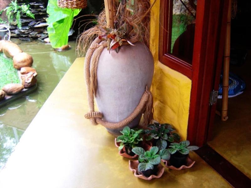 Bambu Brasil 2* Sao Jorge (Goias)